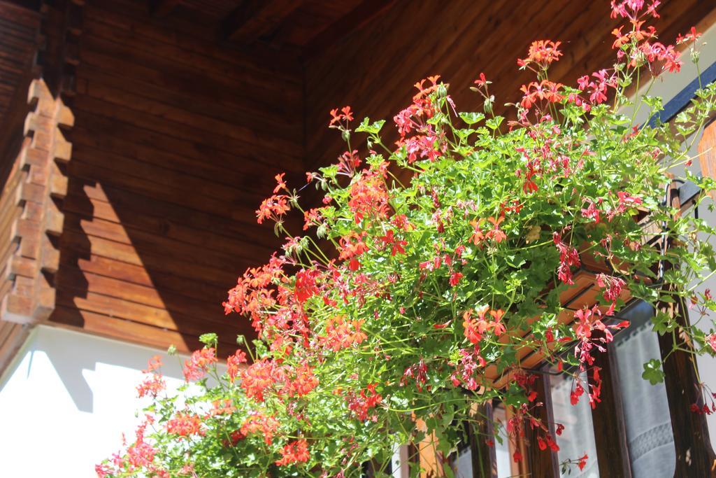 Villa Egle Antronapiana Exterior foto
